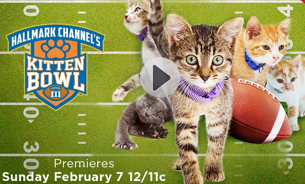 Hallmark Kitten Bowl