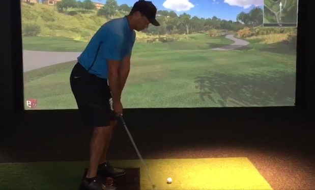 Tiger Woods Swing February 2016