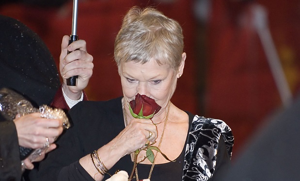 Siebbi_-_A_rose_for_Dame_Judi_Dench_(1)