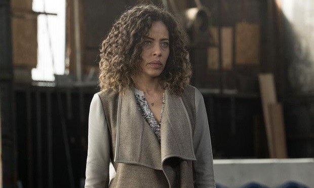 Tawny Cypress, The Blacklist, NBC Virginia Sherwood