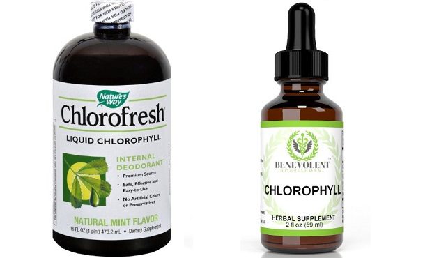 Chlorophyll