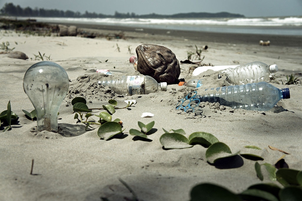 Water_Pollution_with_Trash_Disposal_of_Waste_at_the_Garbage_Beach