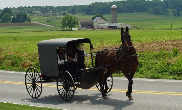 Lancaster Amish