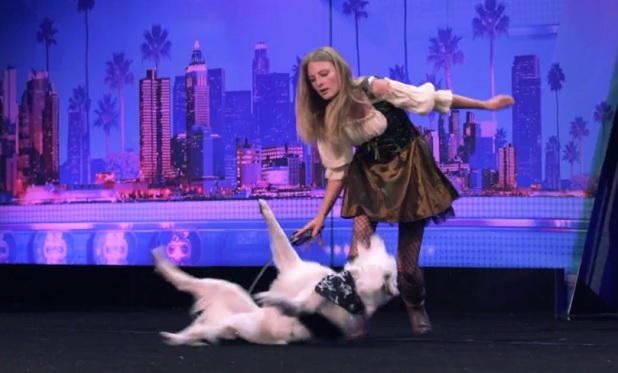 Hero the Super Collie AGT NBC