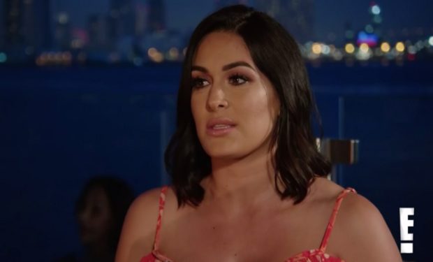 Brie Bella on Total Bellas on E