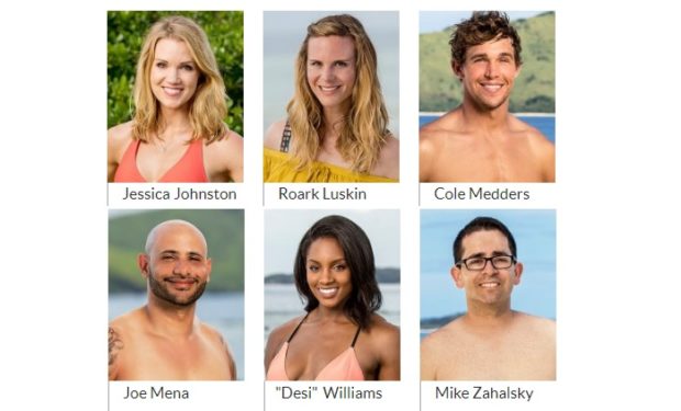 Healer on Survivor 35 CBS