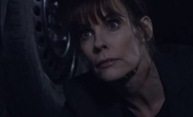 Alexandra Paul in Babynapped Lifetime