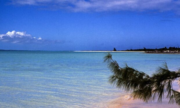 Bahamas Beach