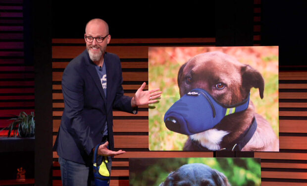 K9 on Shark Tank