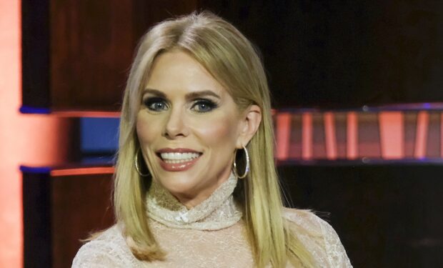Cheryl Hines To Tell the Truth