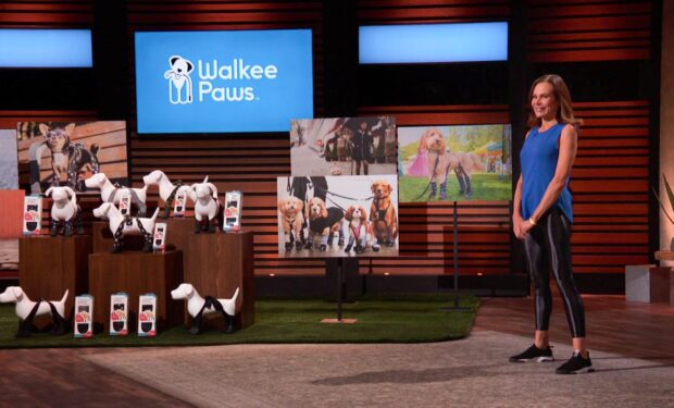 Walkee Paws Shark Tank