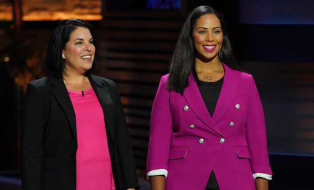 Pink Picasso Paint-by-Numbers Kit Pitches Mark Cuban on Shark Tank