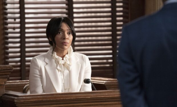 Tamara Taylor on Law & Order SVU