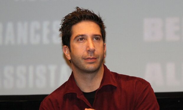 David Schwimmer