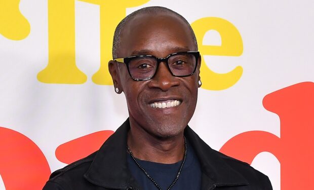 Don Cheadle, narrator of The Wonder Years on ABC