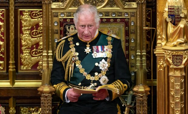 Prince Charles at Queen's Speech, May 2022