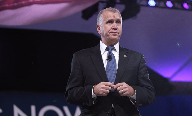 Senator Thom Tillis