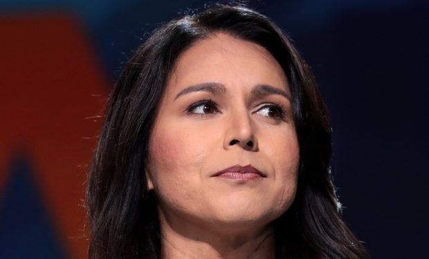 Tulsi Gabbard