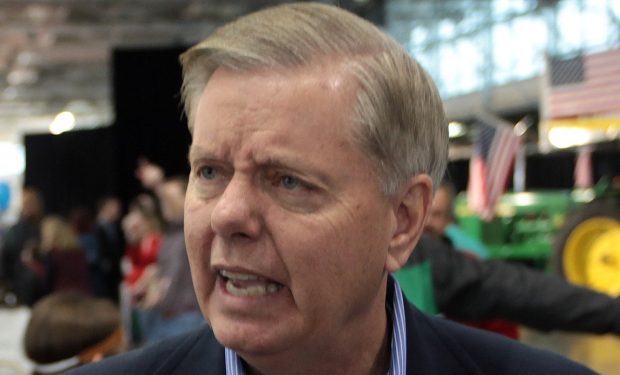 Lindsey Graham